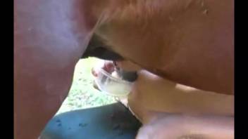 Buff stallion ejaculates a huge wad of semen into her snug, dripping pussy