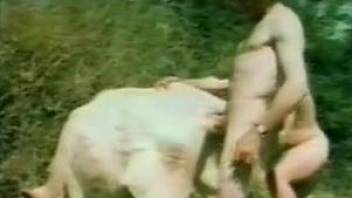 Impressive vintage movie about bestiality with dogs and ponies