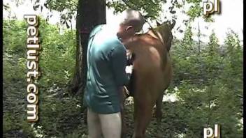 Guy plunges his dick deep into this filly's steamy cunt