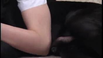 Cheerful Asian babe thoroughly enjoys taboo animal intercourse with a canine