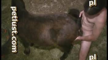 Hot babe and the farmer are screwing in the doggy position.