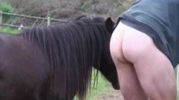 Black stallion fucks this dude's ass from behind