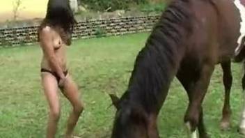 All-natural zoophile hooker sucks a giant dick of her stallion