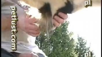 Twisted animal sex clip that'll make you cum super fast