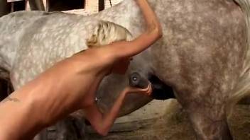 Slim young blonde is giving oral pleasure to a thick, ready erection of a horse