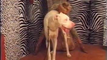 Older woman has sex with a dog as her husband watches