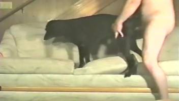 Guy brutally screws dog and records himself