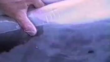 Vintage animal sex clip featuring a narrow dolphin vagina