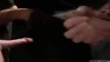 Aroused guy intensely penetrates beasts on every opportunity and films the action