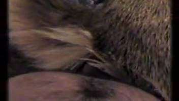 Guy banging a creature's snug cunt doggy style