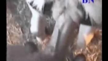Naughty vixen gets railed by a hung stud