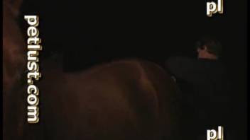 Beastly enthusiast thrusts his rigid erection into a horse's snug rear end