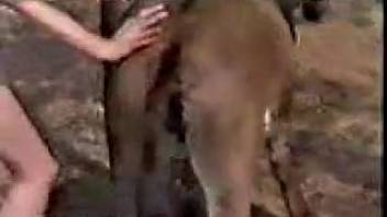Beastly intercourse squad with female horse in epic collective bestiality scene