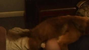Filthy amateur bestiality scene featuring a trained juvenile pup