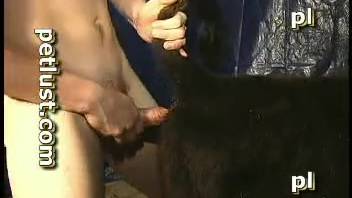Aroused novice dude really enjoys slamming the heifer deep in her wet snatch