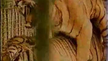 View incredible unusual animal intercourse between two genuine tigers