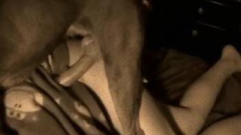 Veiled slut trained in doggy-style screwing experiences incredible zoophilia