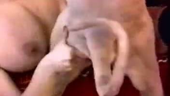 Busty mature woman and obedient dog are having sex in the bedroom