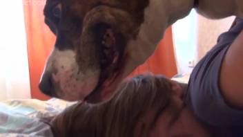 Filthy ass pounding showcased in a homemade adult film
