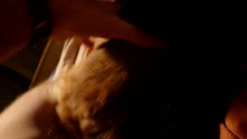 Insane zoophilia adult video scene up close involving a tiny pup