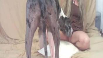 Greyhound and busty vixen bang in doggy position on the ground