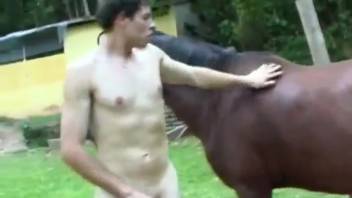 Naked guy masturbates and screws the horse in wild styles