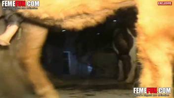 Slender older woman roughly pounded by the stallion and forced to swallow cum