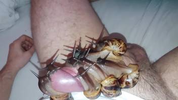 Guy's dick is covered in snails and it's fantastic