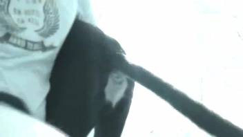 Aroused guy would deeply penetrate his canine in wild ways