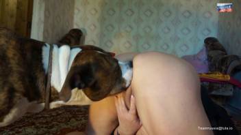 Beastly doggy-position intercourse with a Russian mother