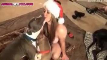 Santa hat hoe getting fucked by a good-looking mutt