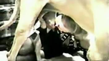 Naked lady sucks and deepthroats canine penis like a slut