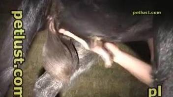 Welsh farmer fucking a very sexy black animal