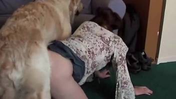 Skinny chick takes whole canine dick deep in her tight openings