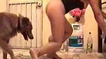 Wet zoophile pussy drilled deep by an energetic dog
