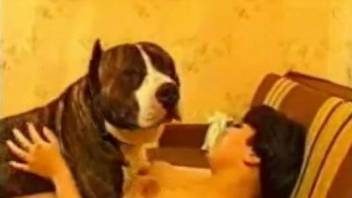 Sexy woman feels large dog's dick humping her pussy very nice