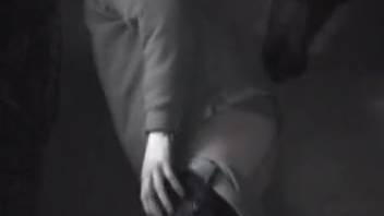 Aroused guy craves butt sex with the horse in perverse scenarios