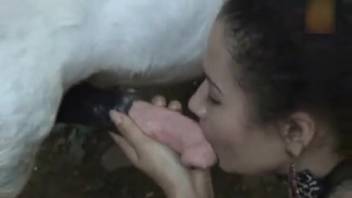 Curvy Hispanic woman reveres a horse's impressive erection.