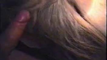 Guy's rigid erection vanishes inside a female horse's vagina