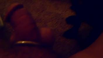 Guy wearing a penis ring savors oral sex from an aroused canine