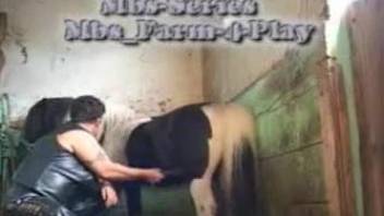 Muscular MILF sucking on a pony's hard penis