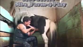 Tough short-haired babe is giving head to that horse's dick