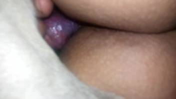 Canine cock thrusting into a snug orifice in zoomed-in footage