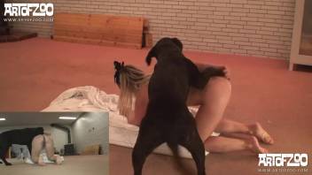 Canine penetrates stunning blond woman after she exposes herself to the webcam