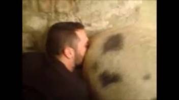 Aroused guy desires to intensely penetrate his swine anally