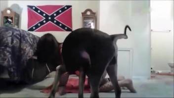 Naughty babe screwing her animal companion on various occasions