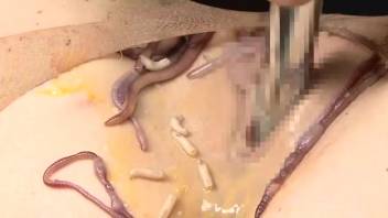 Lady pushes a group of worms into her smooth-shaven pussy and butt