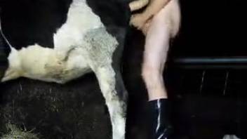 Vigorous intense bestiality encounter in the dead of night