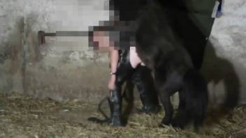 Leather-clad vixen railed by a freaky pony