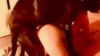 Classic sex scene featuring a flexible MILF and her pet